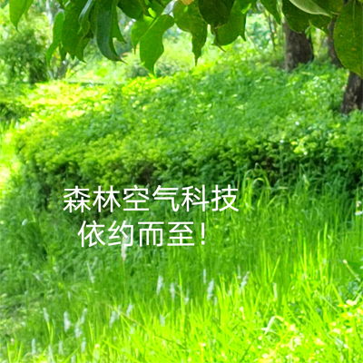 非同凡“想＂?  相見