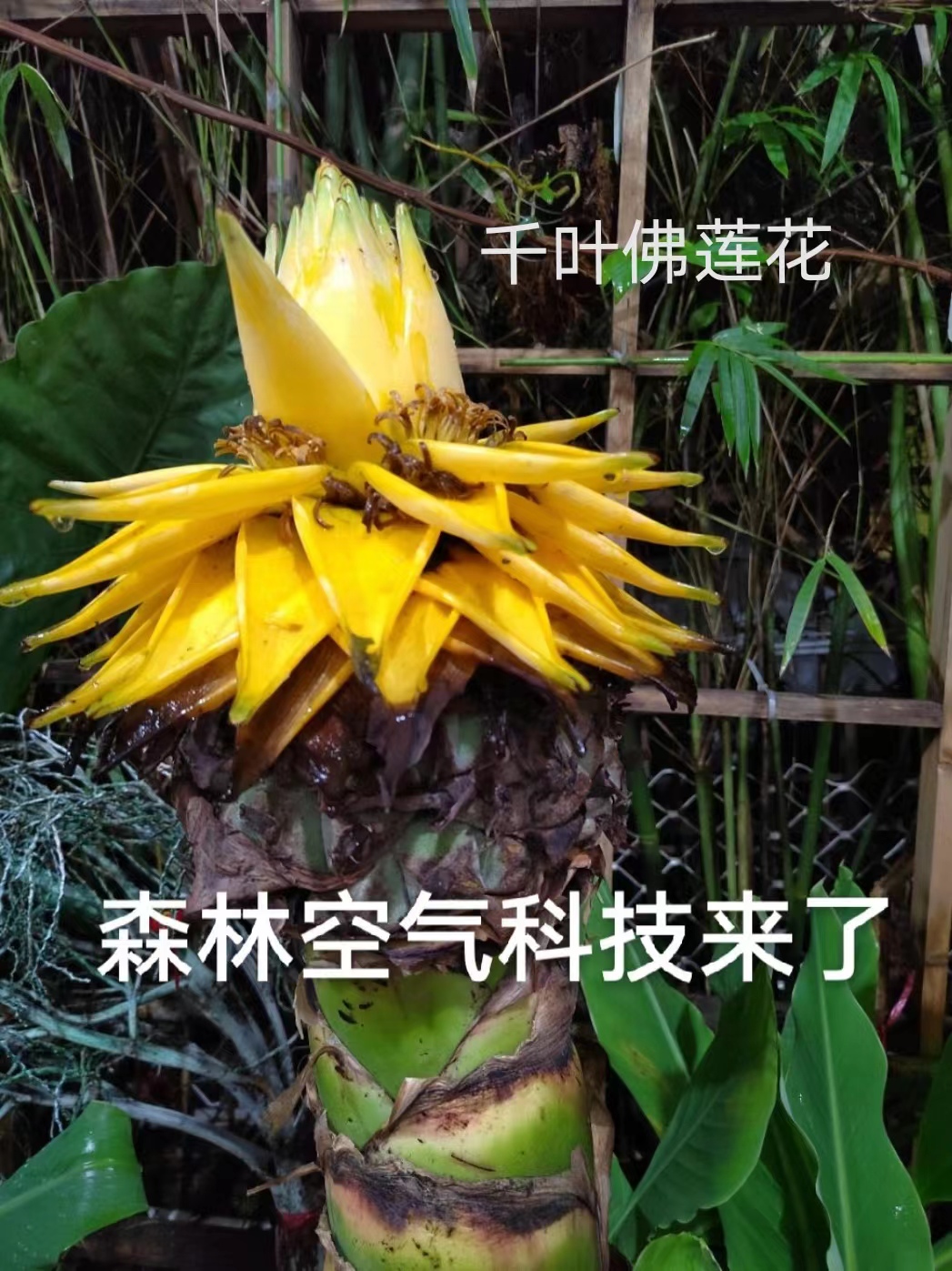 微信圖片_20220623175649.jpg